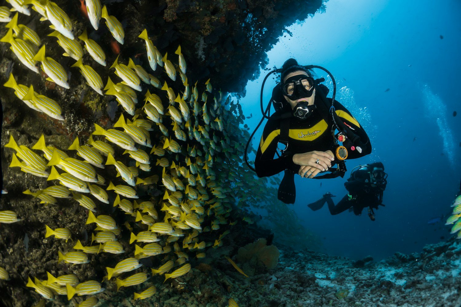 Buceo comercial para embarcaciones